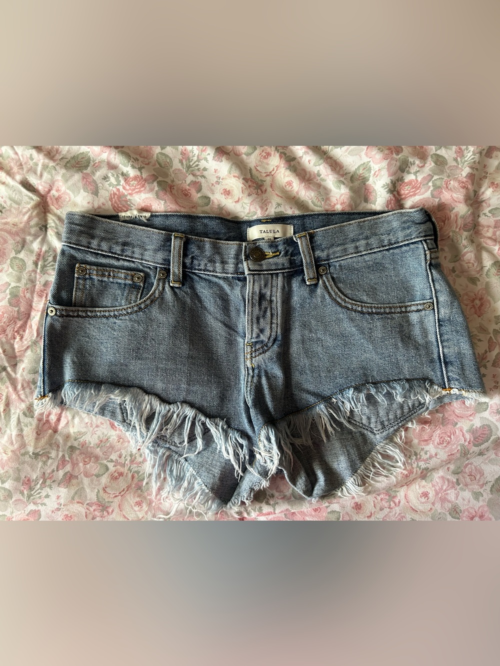 Aritzia Talula Light Blue Frayed Hem Denim Shorts Fringe